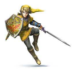Link wii sale u