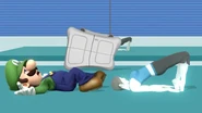 Luigi and Wii Fit Trainer.