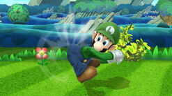 The third hit of Luigi's jab.