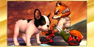 Fox victory 1.png (142 KB) There's more species in the Smash Bros. universe that relate to Fox than in his own! Isn't that special?