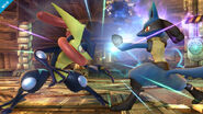 Greninja and Lucario