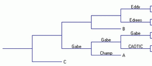 Double elim losers