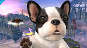 Smash 4 assist trophy nintendog