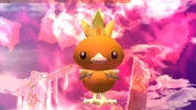 Torchic SSBB screenshot