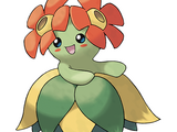 Bellossom