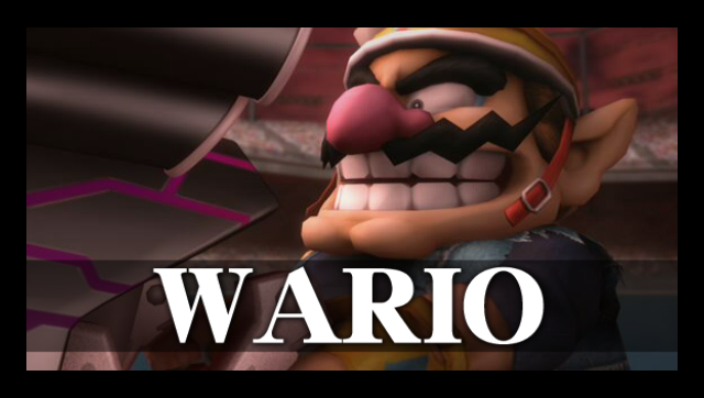 wario brawl