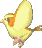 Pidgey