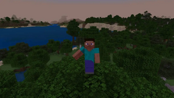 Steve in Minecraft