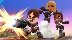 Fighting Mii Team