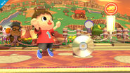 The CD in Super Smash Bros. for Nintendo Wii U.