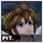 Pit Icon SSBWU.png