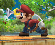 Mario cargando el ACUAC.
