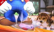 Mario y Kirby SSB4 (3DS)