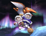 Como parte de la entrada de los Ice Climbers en Super Smash Bros. Brawl.