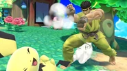Ryu y Pichu en la Isla Tórtimer.