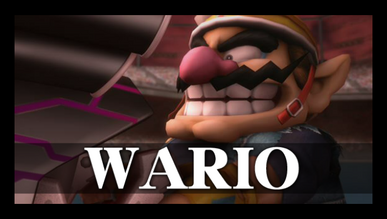 Subspace wario