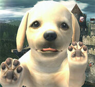 El Nintendog cubriendo la pantalla en Super Smash Bros. Brawl.