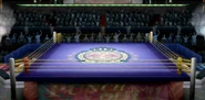 Vista del escenario.