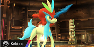 Keldeo siendo visto de cerca.