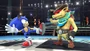 Dillon junto a Sonic SSB4 (Wii U)