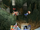 Glitch de los Waddle Dee flotantes.png