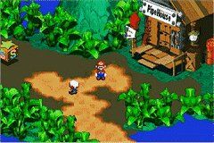 Mario's Pad.jpg