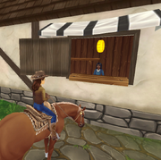 StarStable 2020-05-27 14-14-15 (2)