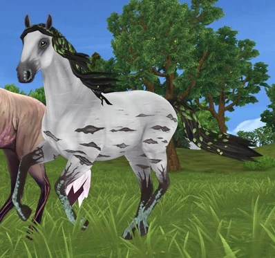 Barkheart Star Stable Wiki Fandom