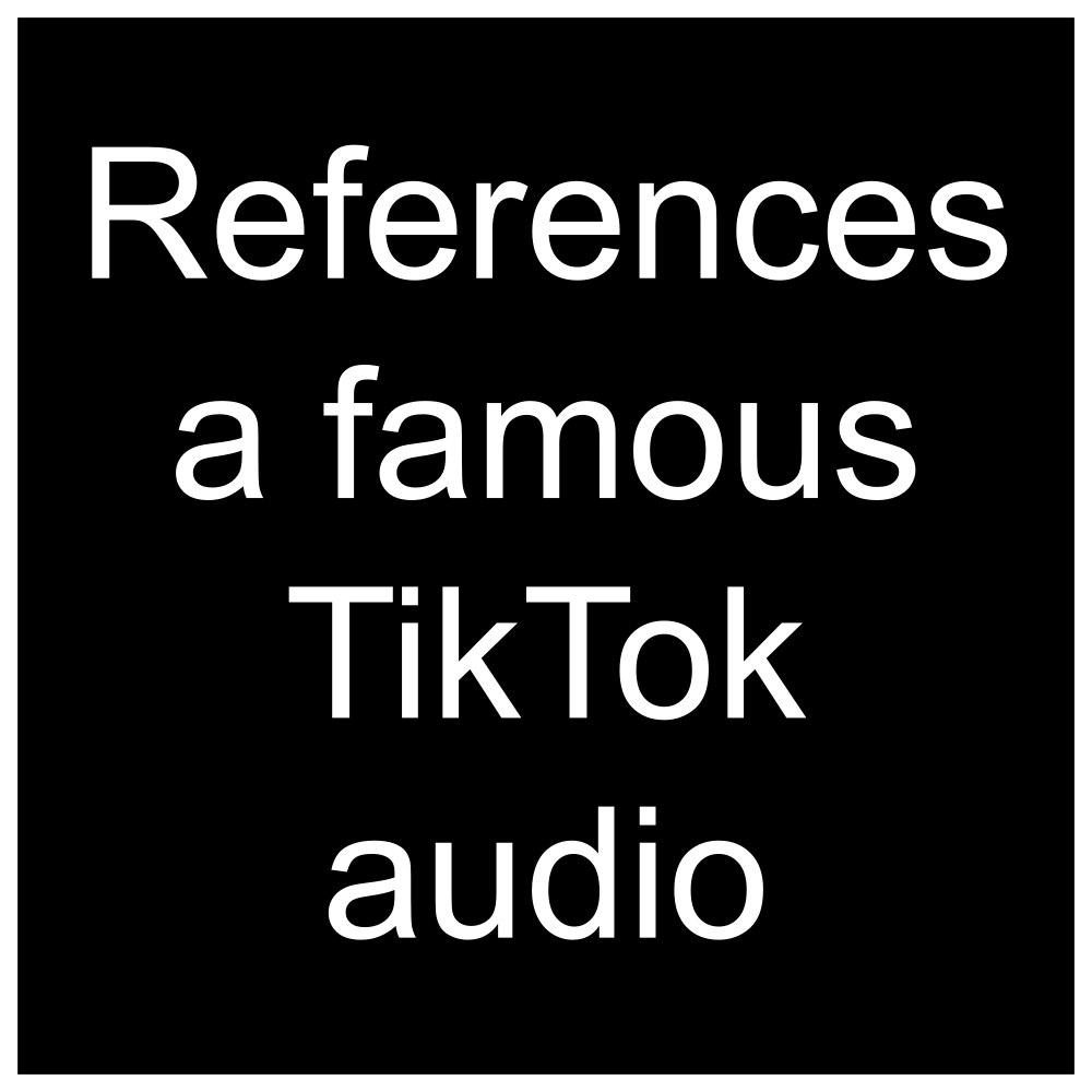 references-a-famous-tiktok-audio-sssniperwolf-bbbingo-wiki-fandom