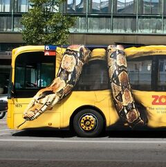 Copenhagen-Zoo-Snake-on-Bus-FINAL