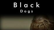 Black Dogs Part 1