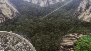 Floresta da Morte como vista de cima