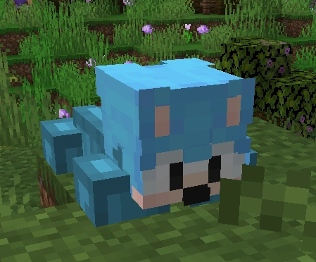 Sunnynoah | Staffemon Wiki | Fandom