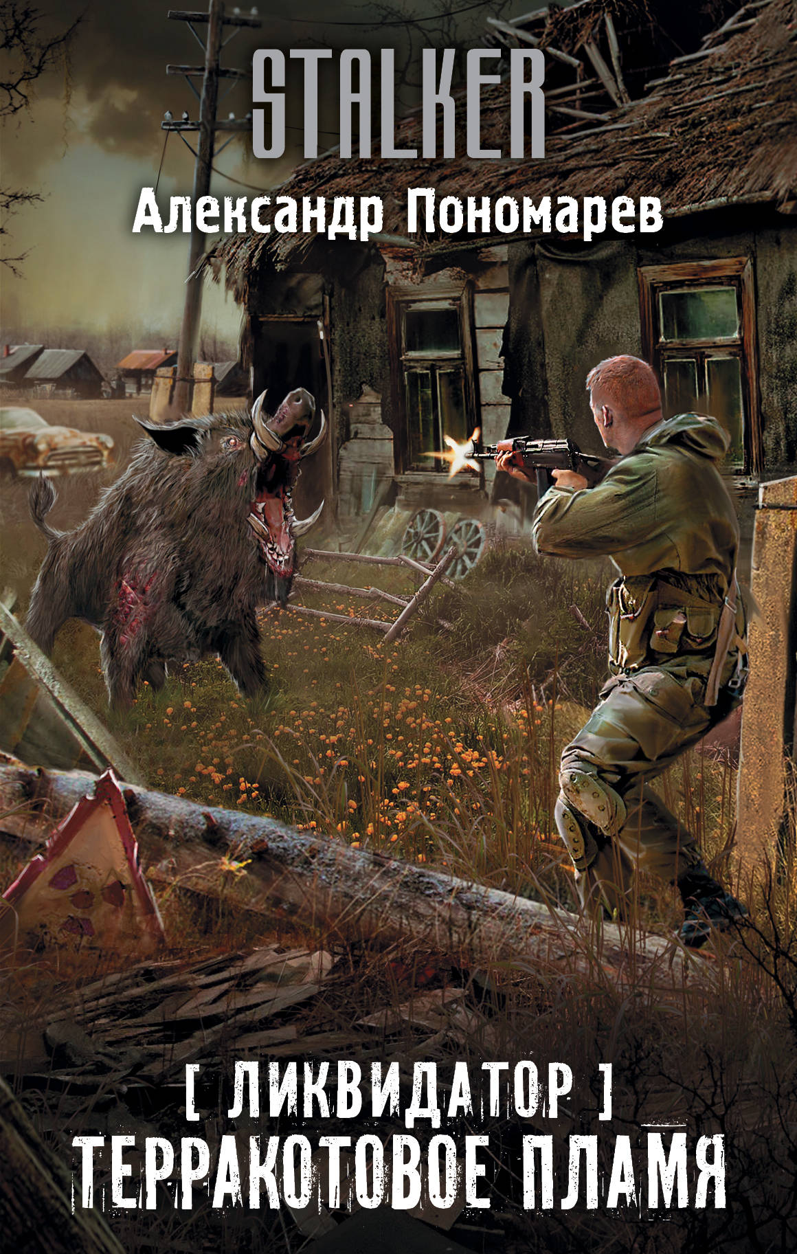 Терракотовое пламя | S.T.A.L.K.E.R. — КНИГИ | Fandom