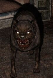 Noah's tame Pseudodog named "Lassie"