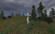 Ingame view, note the stand of trees on the right containing the Boar lair.