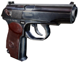 PMm render