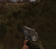 Ceremonial PMm character view.