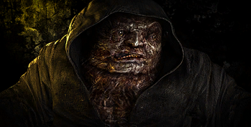 Burer | S.T.A.L.K.E.R. Wiki | Fandom
