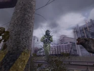 When equipped with 4-5 Battery artifacts, a stalker will become immune to the anomaly, along with restoring health and "repairing" their armour each time they step into the anomaly. This can only be done in Shadow of Chernobyl.