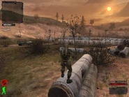 29 ноября 2006