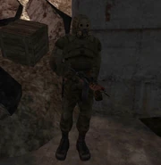 Стрелок в тоннеле Рыжего леса