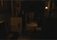 Sleeping Bloodsuckers within the complex basement