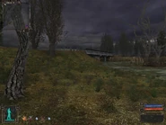 The bridge over the swamp.