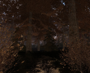 RF.png (1.59 MB) Ditto