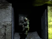 24 апреля 2021