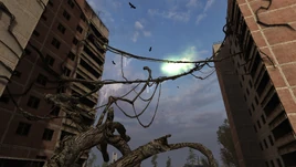 Mutated Vine Anomaly