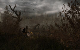 Stalker1600x1000