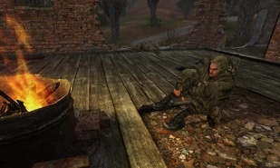 Fox luego de acabar con la manada de perros ciegos