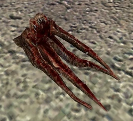 SHOC Bloodsucker Tentacles